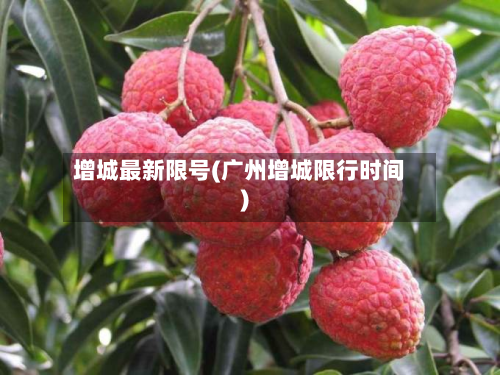 增城最新限号(广州增城限行时间)-第3张图片