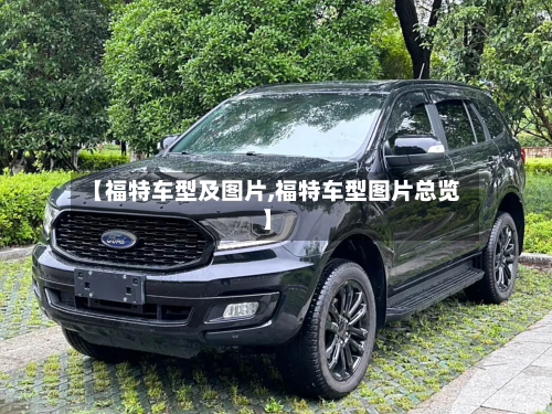 【福特车型及图片,福特车型图片总览】-第2张图片