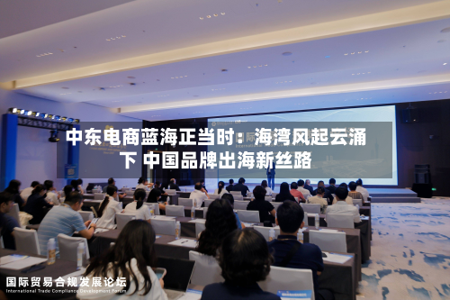 中东电商蓝海正当时：海湾风起云涌下 中国品牌出海新丝路