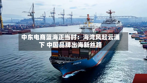 中东电商蓝海正当时:海湾风起云涌下 中国品牌出海新丝路-第2张图片