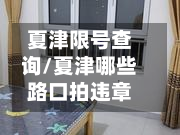 夏津限号查询/夏津哪些路口拍违章