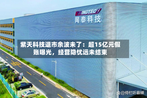 紫天科技退市余波未了：超15亿元假账曝光，经营隐忧远未结束-第2张图片