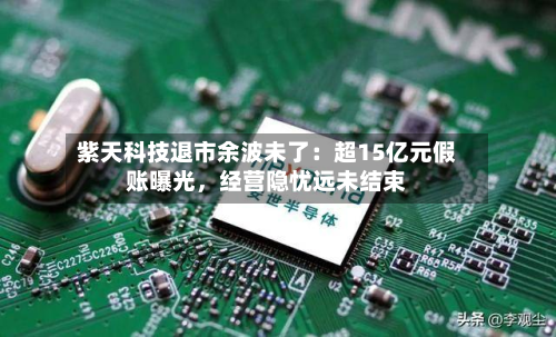 紫天科技退市余波未了：超15亿元假账曝光，经营隐忧远未结束-第3张图片