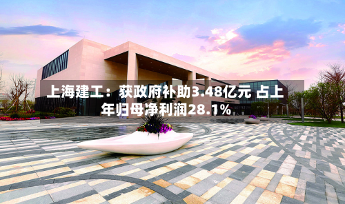 上海建工:获政府补助3.48亿元 占上年归母净利润28.1%-第2张图片