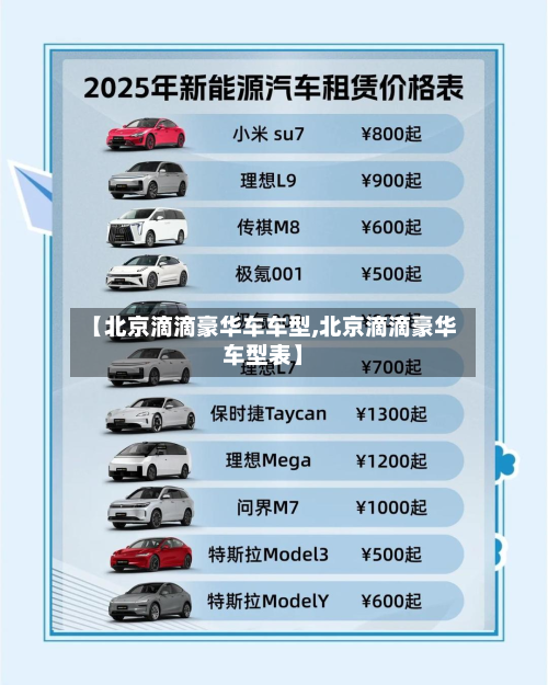 【北京滴滴豪华车车型,北京滴滴豪华车型表】-第3张图片