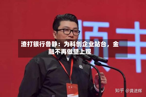 渣打银行鲁静：为科创企业站台，金融不再做壁上观-第2张图片