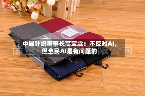 中昊针织董事长高宝霖：不反对AI，但全民AI是有问题的-第3张图片