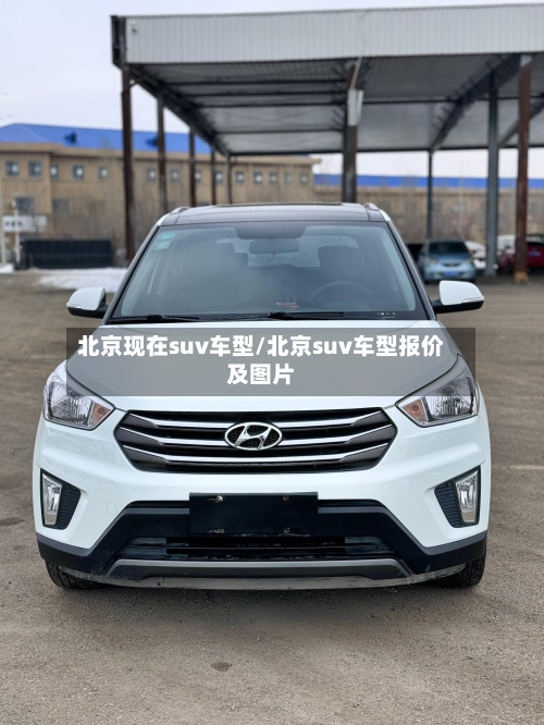 北京现在suv车型/北京suv车型报价及图片