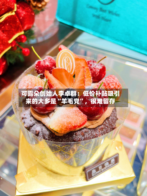 可露朵创始人李卓群：低价补贴吸引来的大多是“羊毛党”，很难留存-第2张图片