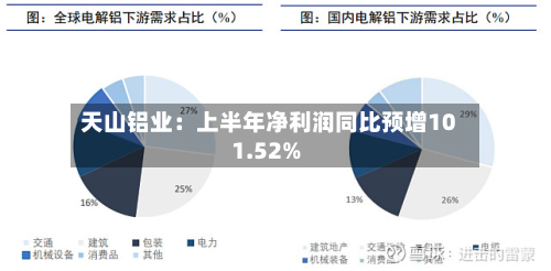 天山铝业:上半年净利润同比预增101.52%-第2张图片