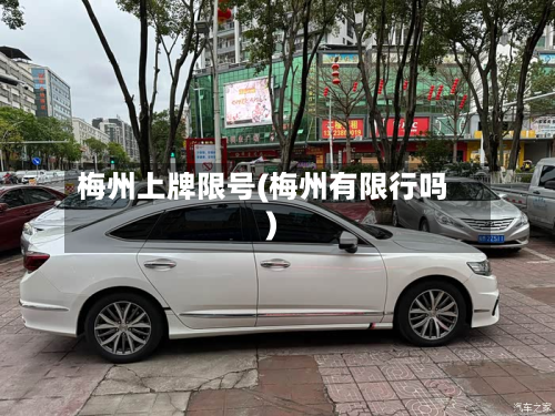 梅州上牌限号(梅州有限行吗)-第3张图片