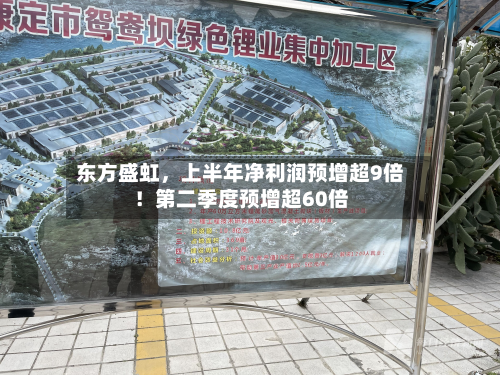 东方盛虹，上半年净利润预增超9倍！第二季度预增超60倍-第1张图片