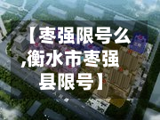 【枣强限号么,衡水市枣强县限号】-第2张图片