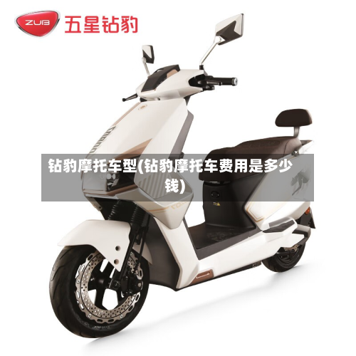 钻豹摩托车型(钻豹摩托车费用是多少钱)