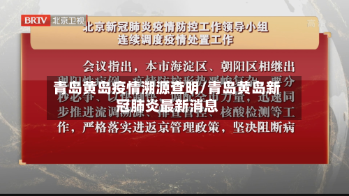 青岛黄岛疫情溯源查明/青岛黄岛新冠肺炎最新消息-第3张图片