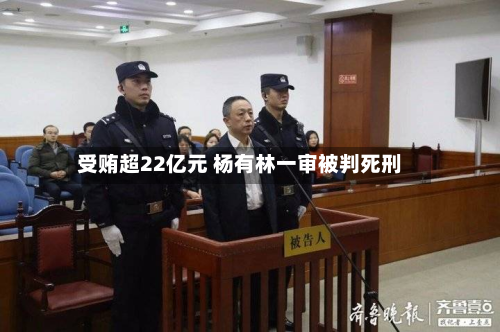 受贿超22亿元 杨有林一审被判死刑-第2张图片