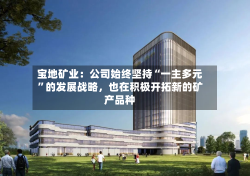 宝地矿业：公司始终坚持“一主多元”的发展战略	，也在积极开拓新的矿产品种-第1张图片