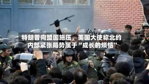 特朗普向盟国施压，美国大使称北约内部紧张局势属于“成长的烦恼”-第2张图片