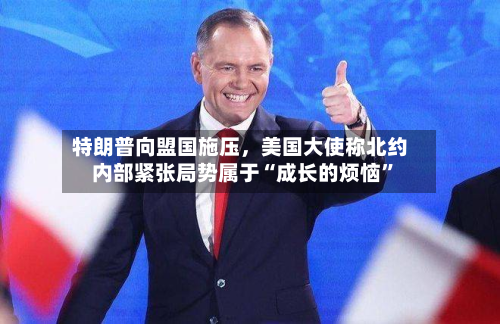 特朗普向盟国施压	，美国大使称北约内部紧张局势属于“成长的烦恼	”-第1张图片