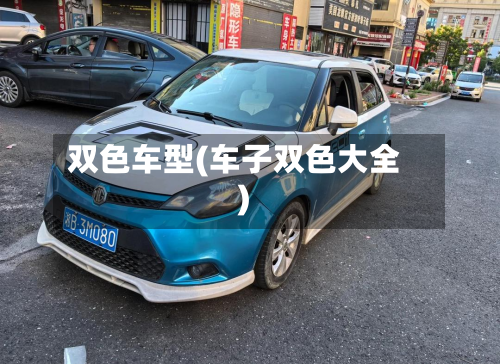 双色车型(车子双色大全)-第3张图片