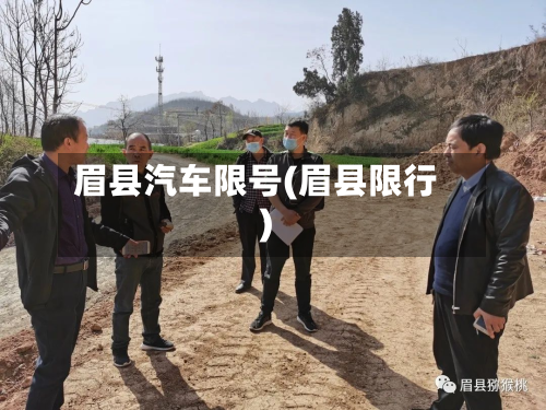 眉县汽车限号(眉县限行)