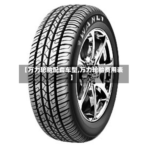 【万力轮胎配套车型,万力轮胎费用表】-第2张图片
