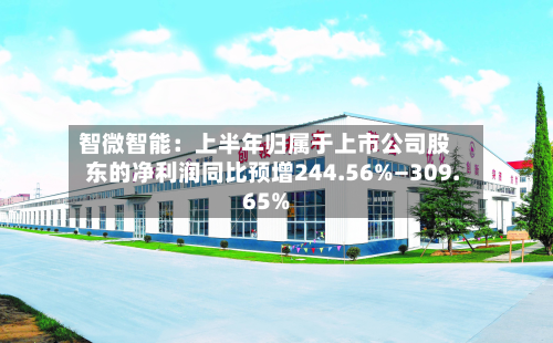 智微智能:上半年归属于上市公司股东的净利润同比预增244.56%—309.65%-第3张图片
