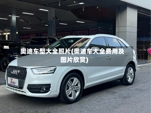 奥迪车型大全照片(奥迪车大全费用及图片欣赏)-第2张图片