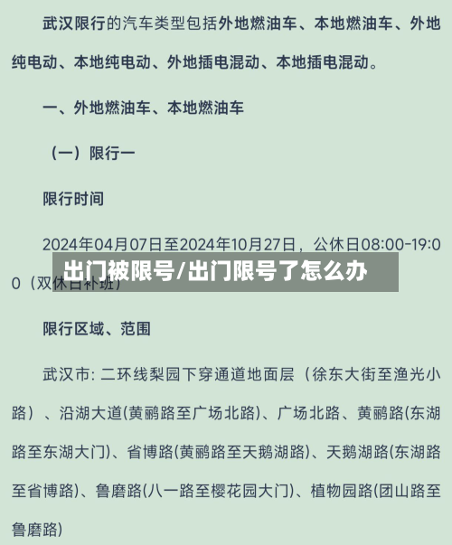 出门被限号/出门限号了怎么办