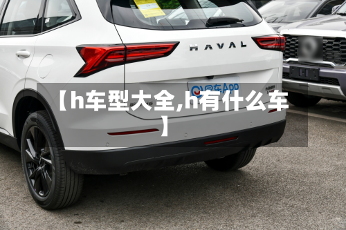【h车型大全,h有什么车】
