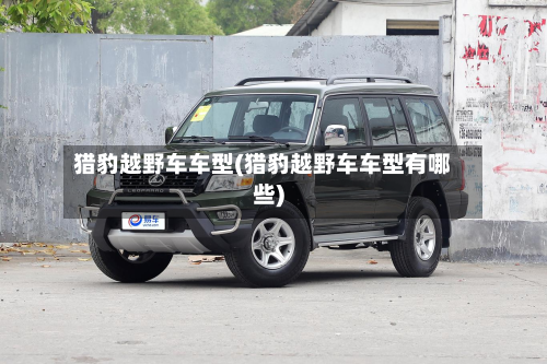 猎豹越野车车型(猎豹越野车车型有哪些)