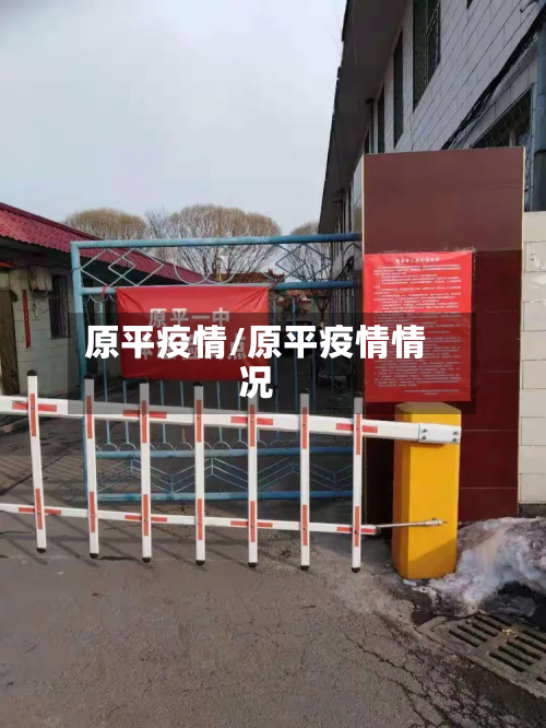 原平疫情/原平疫情情况-第2张图片