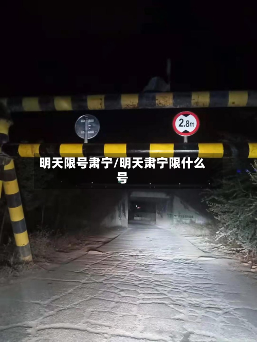 明天限号肃宁/明天肃宁限什么号