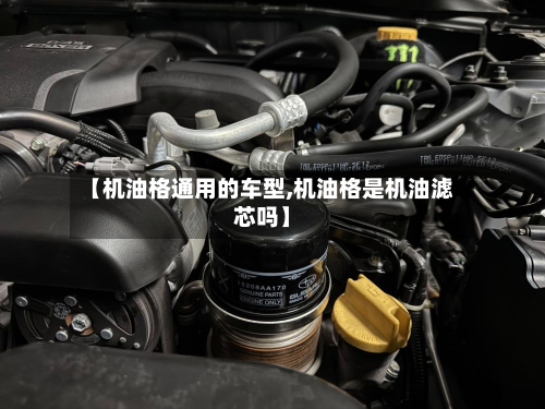 【机油格通用的车型,机油格是机油滤芯吗】