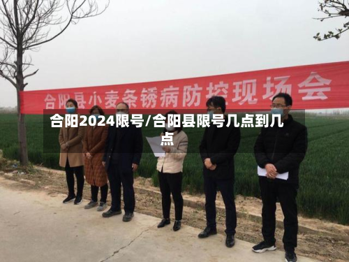 合阳2024限号/合阳县限号几点到几点-第3张图片