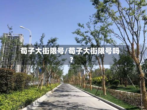 荀子大街限号/荀子大街限号吗?-第2张图片