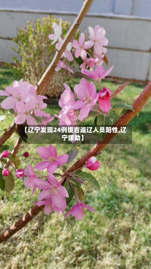 【辽宁发现24例援吉返辽人员阳性,辽宁援助】