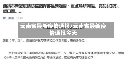 云南省最新疫情通报/云南省最新疫情通报今天-第3张图片