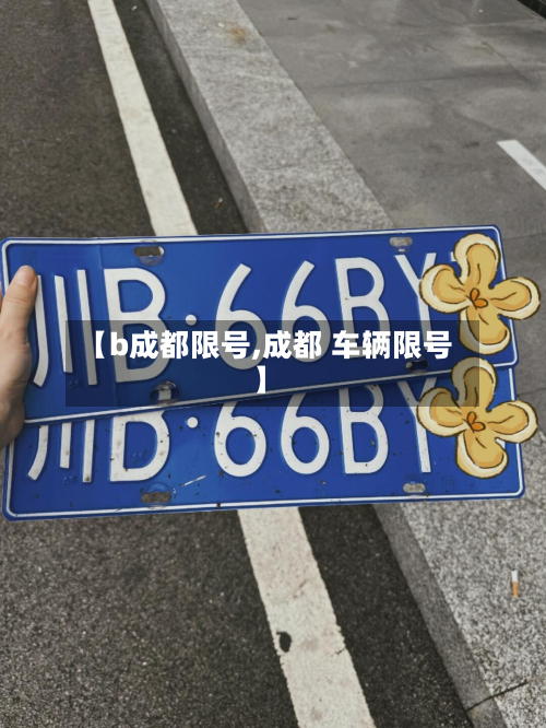 【b成都限号,成都 车辆限号】-第2张图片