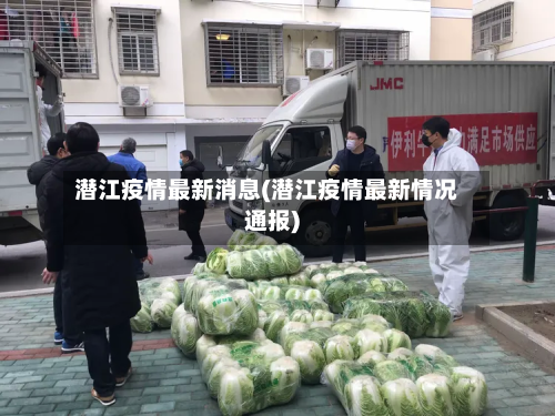 潜江疫情最新消息(潜江疫情最新情况通报)-第2张图片