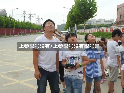 上蔡限号没有/上蔡限号没有限号吧-第3张图片