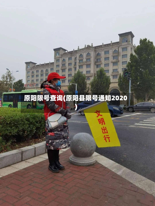 原阳限号查询(原阳县限号通知2020)-第3张图片