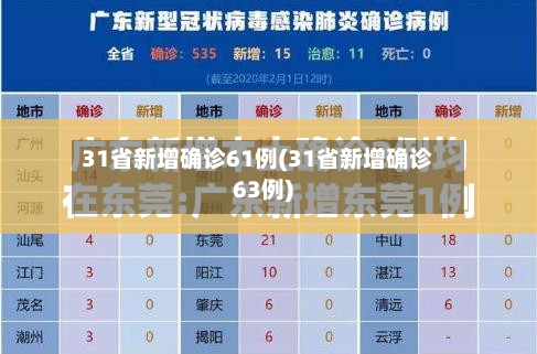 31省新增确诊61例(31省新增确诊63例)