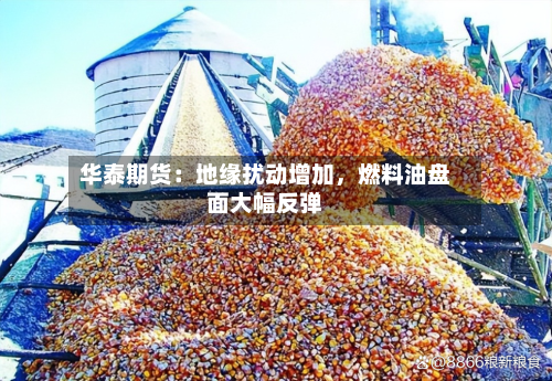 华泰期货：地缘扰动增加	，燃料油盘面大幅反弹-第1张图片