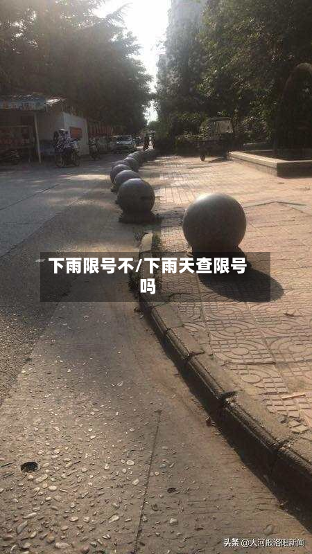 下雨限号不/下雨天查限号吗