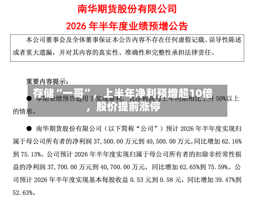 存储“一哥	”	，上半年净利预增超10倍，股价提前涨停-第2张图片