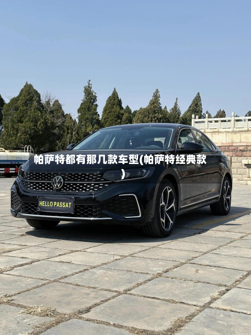帕萨特都有那几款车型(帕萨特经典款)-第3张图片