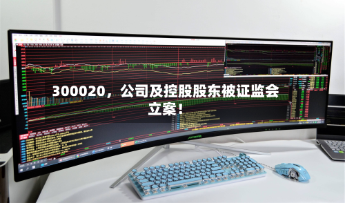300020，公司及控股股东被证监会立案！-第2张图片