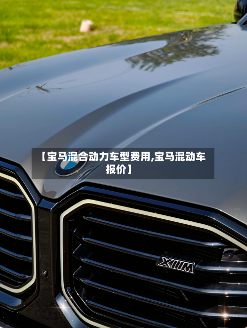 【宝马混合动力车型费用,宝马混动车报价】-第2张图片