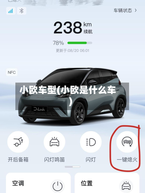 小欧车型(小欧是什么车)-第3张图片